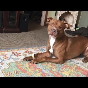 Meet your Posher, Kate